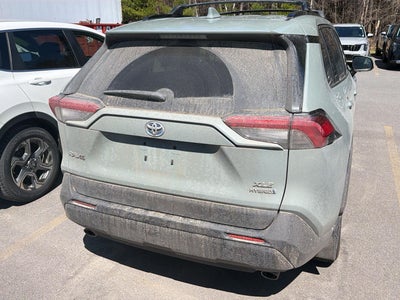2020 Toyota RAV4 Hybrid XLE