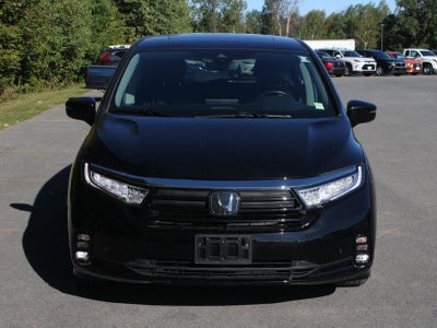 2024 Honda Odyssey Elite