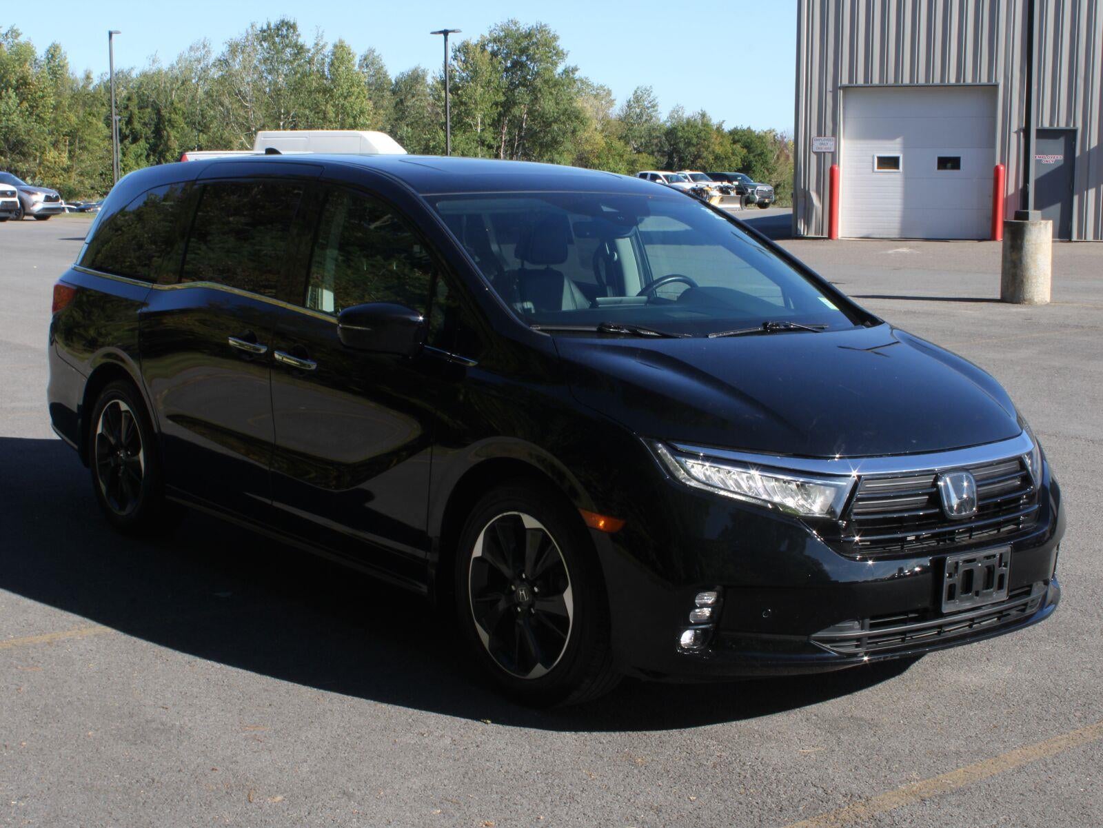2024 Honda Odyssey Elite