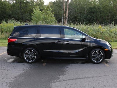 2024 Honda Odyssey Elite
