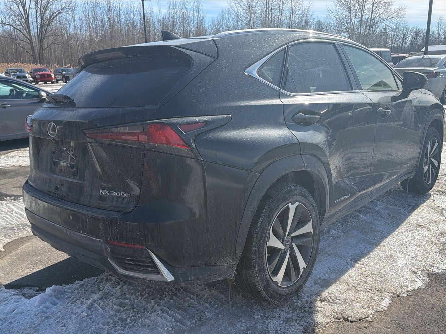 2021 Lexus NX 300h NX 300h