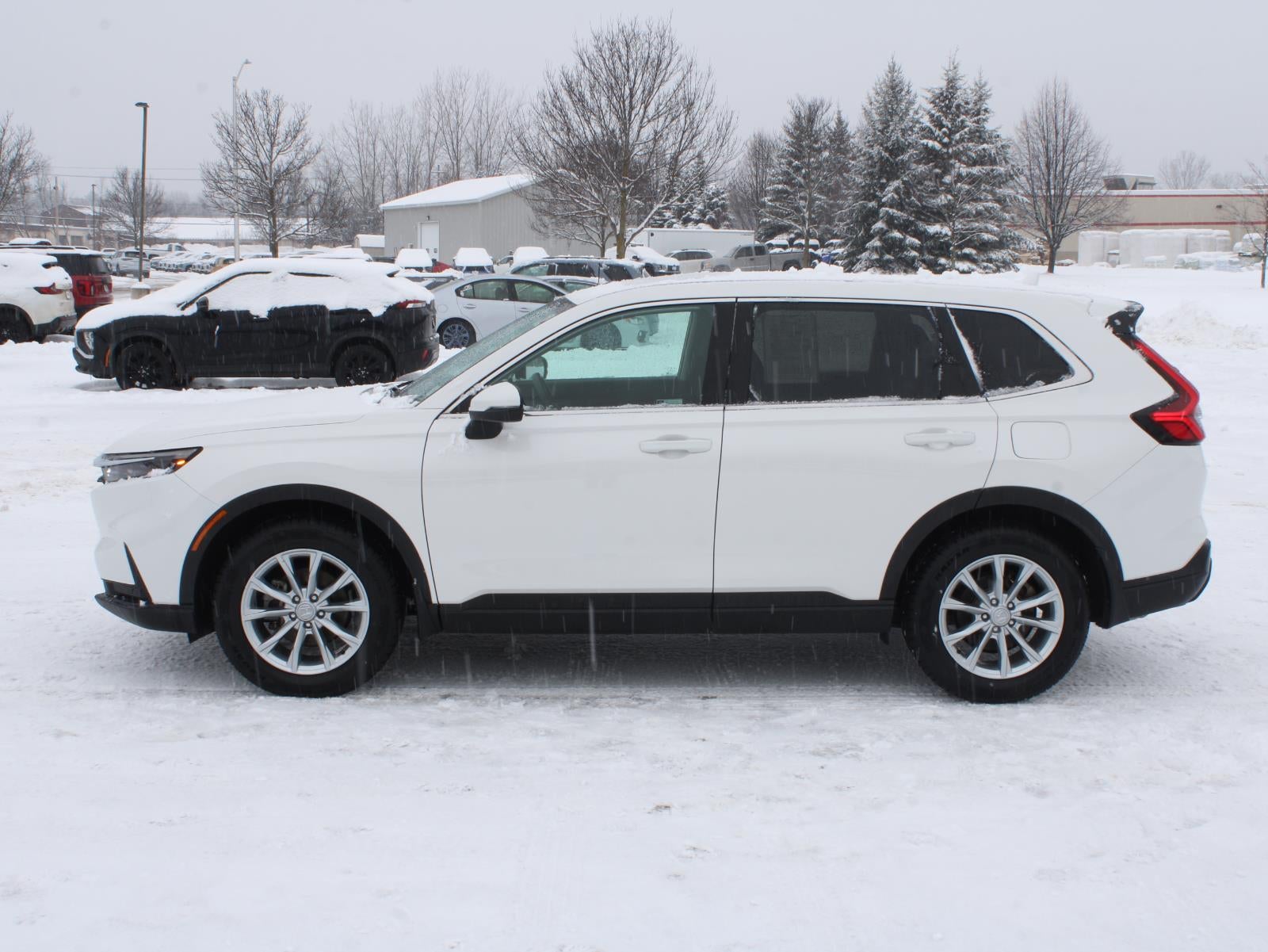 2024 Honda CR-V EX-L All Wheel Drive CVT