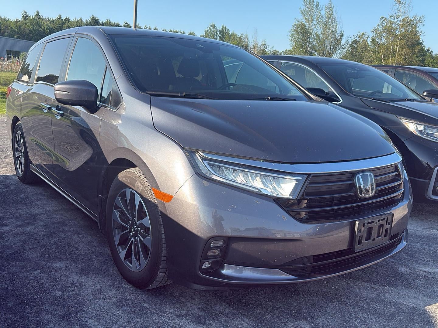 2023 Honda Odyssey EX-L