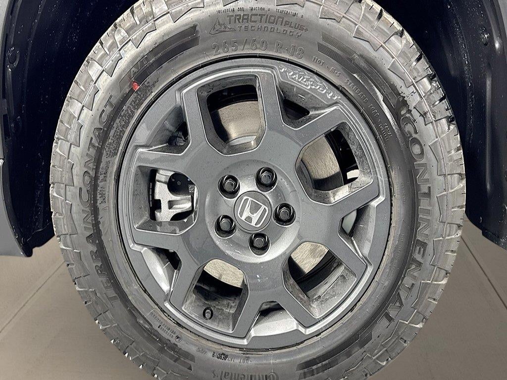 2026 Honda Pilot AWD TrailSport