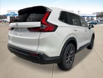 2026 Honda CR-V EX-L All Wheel Drive CVT