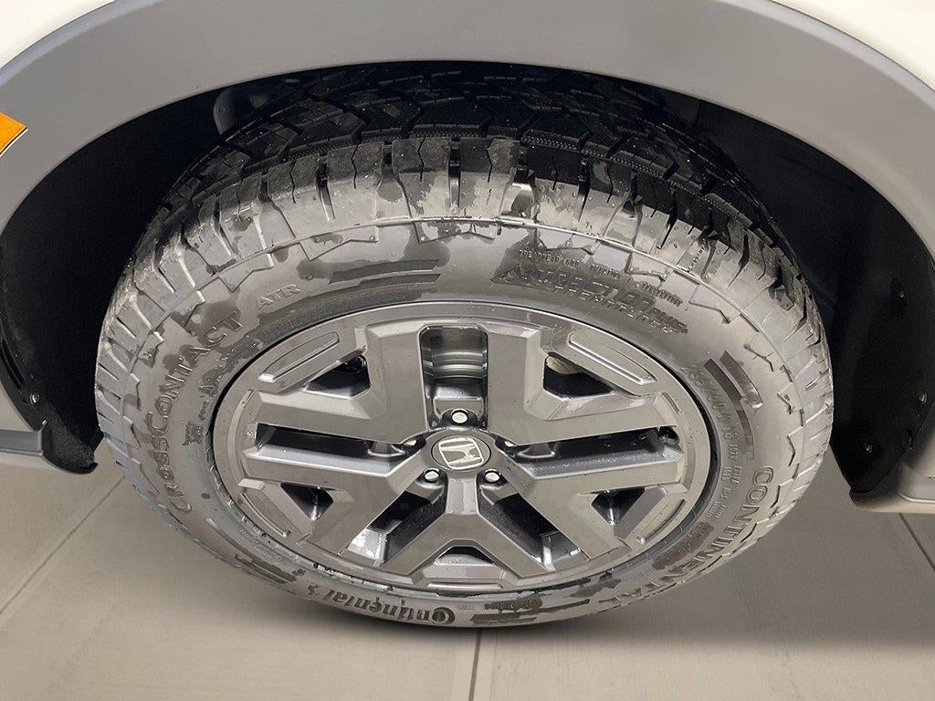 2026 Honda CR-V TrailSport