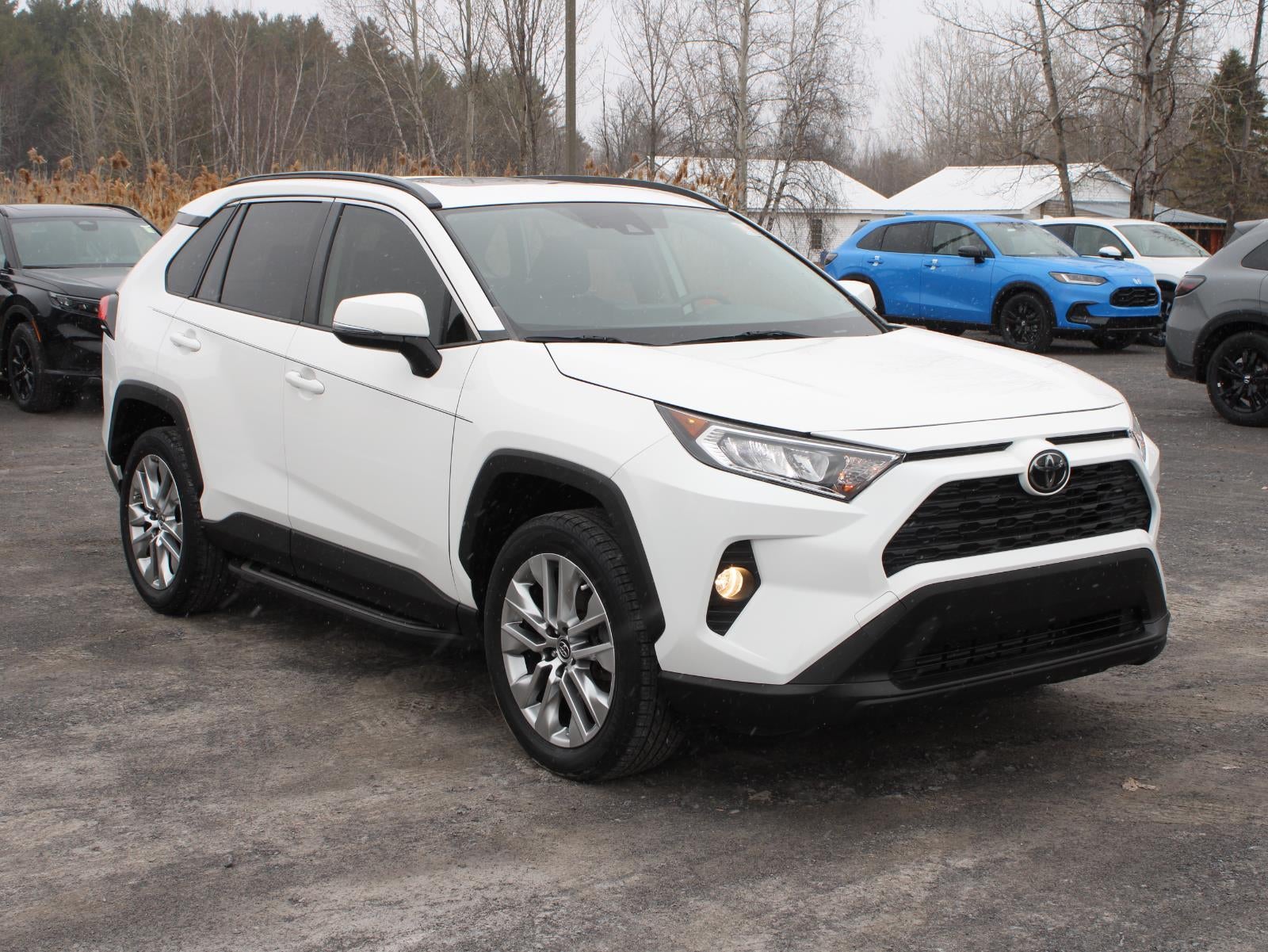 2019 Toyota RAV4 XLE Premium Front Wheel Drive Automatic
