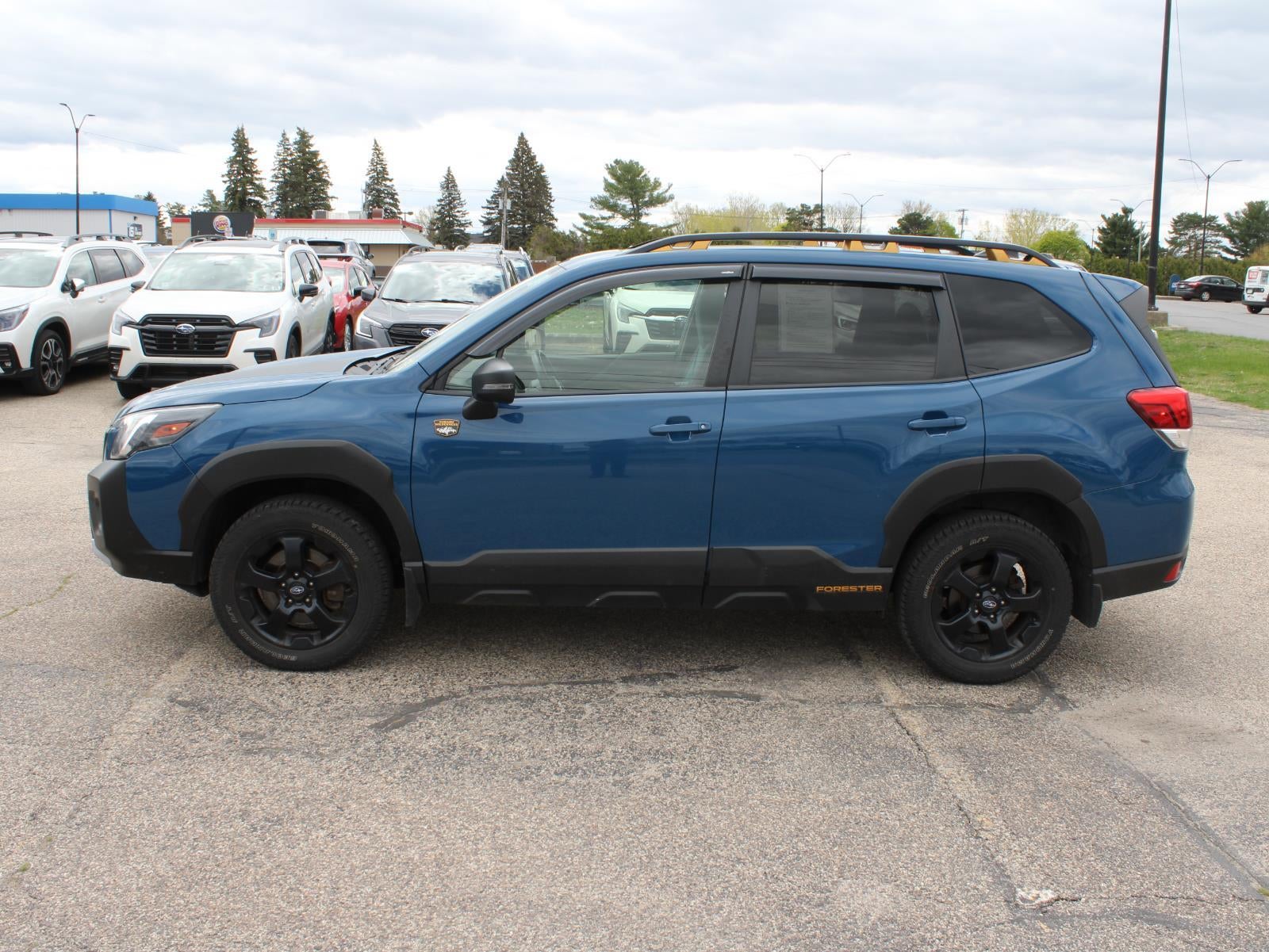 2024 Subaru Forester Wilderness